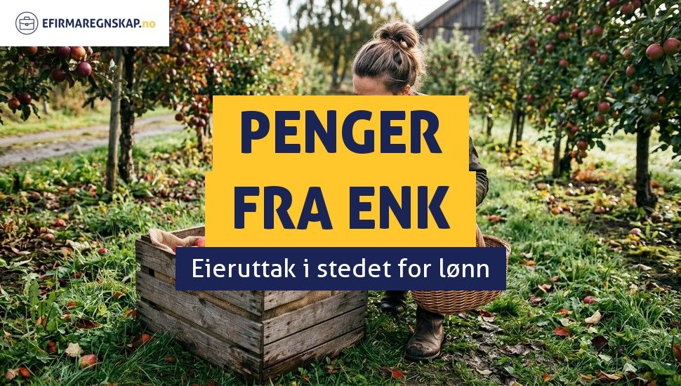 Uttak av penger fra ENK - hvorfor kan ikke eieren betale seg selv lønn?