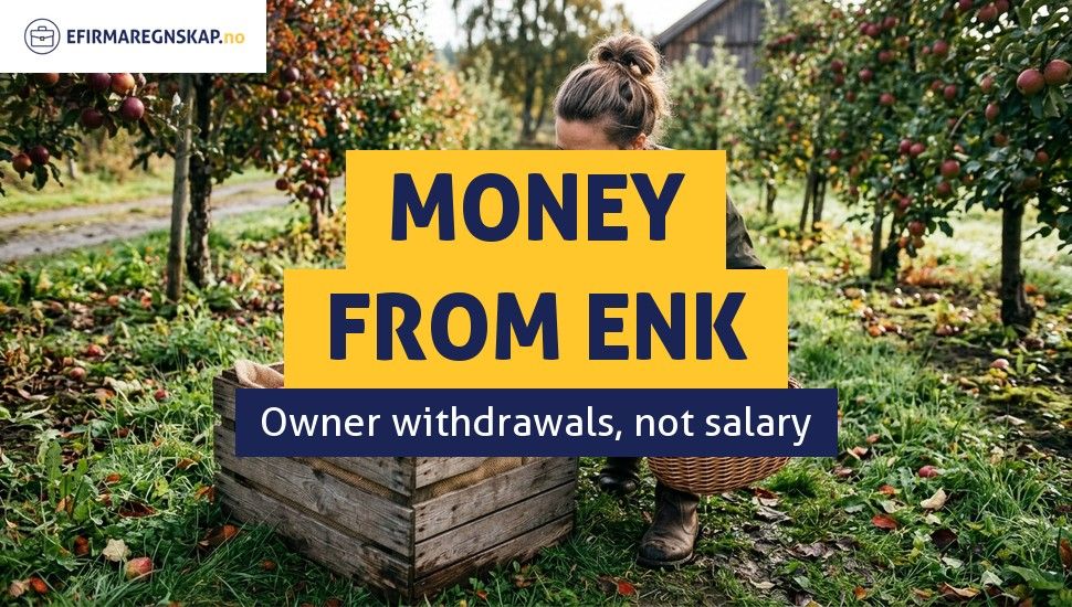 Withdrawing Money from an ENK - Why Can't the Owner Pay Themselves a Salary?