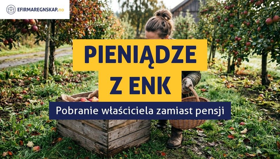 Wypłata pieniędzy z ENK - dlaczego właściciel nie może wypłacać sobie pensji?